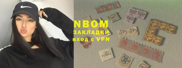 шишки Алексин