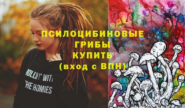 шишки Алексин