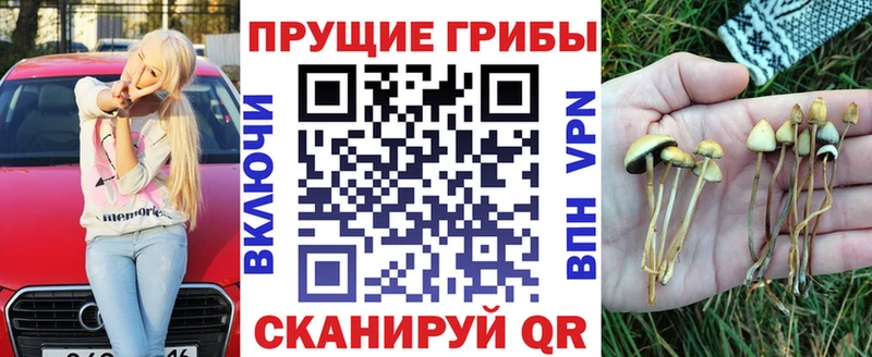 Галлюциногенные грибы прущие грибы  Курлово 